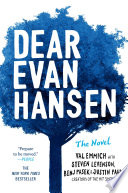 Dear Evan Hansen Val Emmich Book Cover