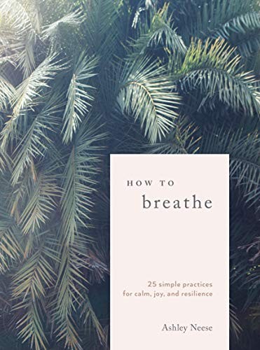 How to Breathe Ashley Neese Book Cover