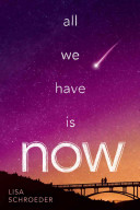 All We Have is Now Lisa Schroeder Book Cover