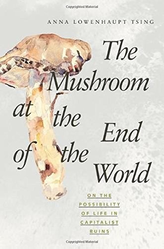 The Mushroom at the End of the World Anna Lowenhaupt Tsing Book Cover