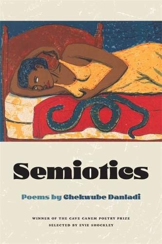 Semiotics Chekwube Danladi Book Cover