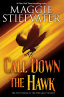 Call Down the Hawk Maggie Stiefvater Book Cover