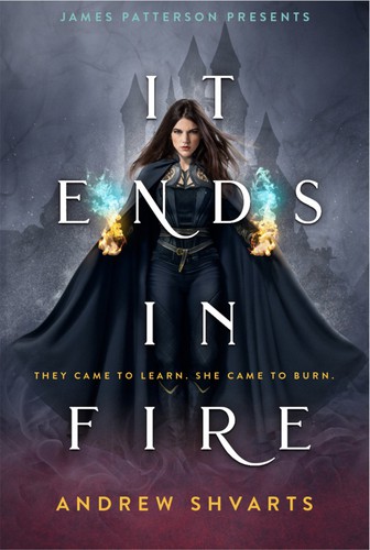It Ends in Fire Andrew Shvarts Book Cover