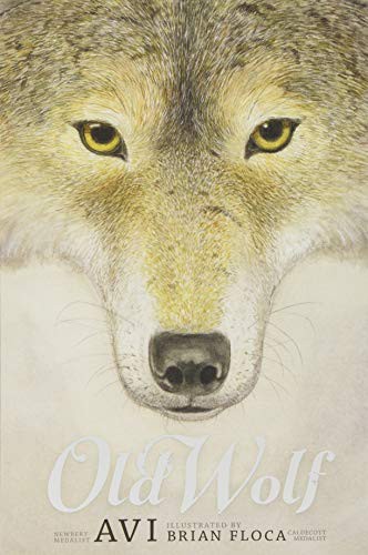 Old Wolf Avi Book Cover