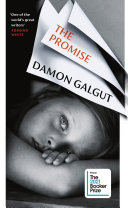 Promise Damon Galgut Book Cover