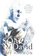 The Song of David Amy Harmon Book Cover