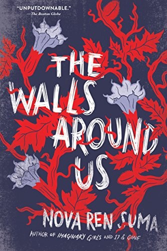 The Walls Around Us Nova Ren Suma Book Cover