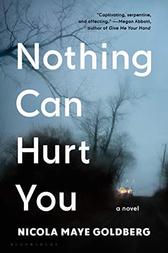 Nothing Can Hurt You Nicola Maye Goldberg Book Cover