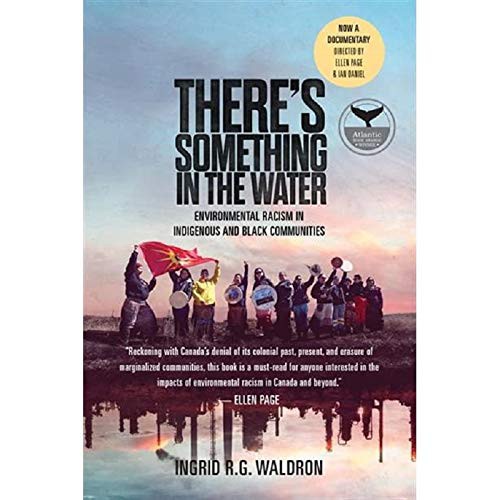 There’s Something In The Water Ingrid R. G. Waldron Book Cover