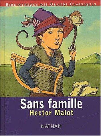 Sans Famille Malot Book Cover