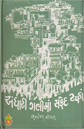 Andhari Galima Safed Tapakan Himanshi Shelat Book Cover