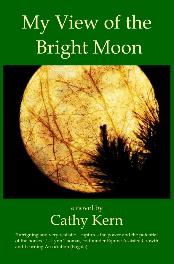 My View of the Bright Moon Cathy Kern Book Cover