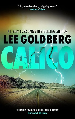 Calico Lee Goldberg Book Cover
