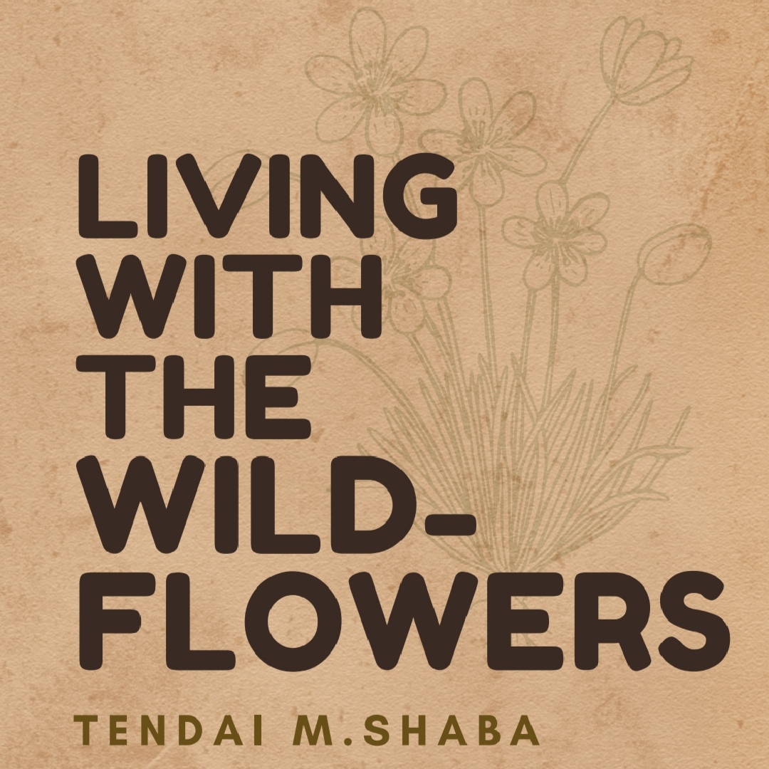 Living with the Wildflowers Tendai M Shaba Book Cover