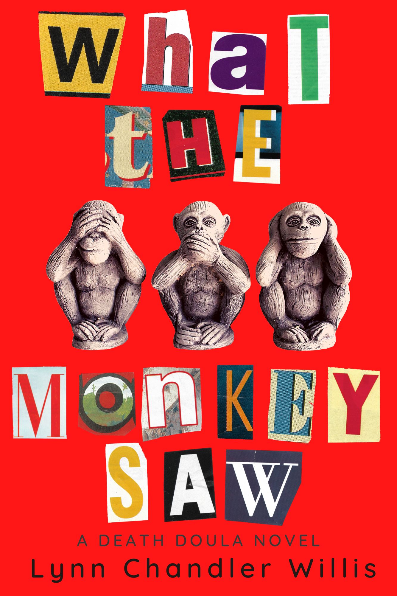 What the Monkey Saw Lynn Chandler Willis Book Cover