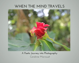 When the Mind Travels: A Poetic Journey into Photography Cendrine Marrouat Book Cover