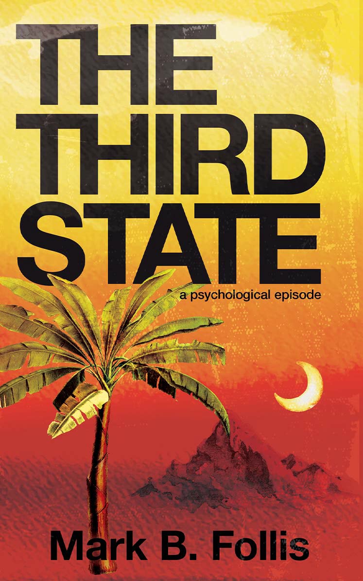 The Third State Mark B. Follis Book Cover